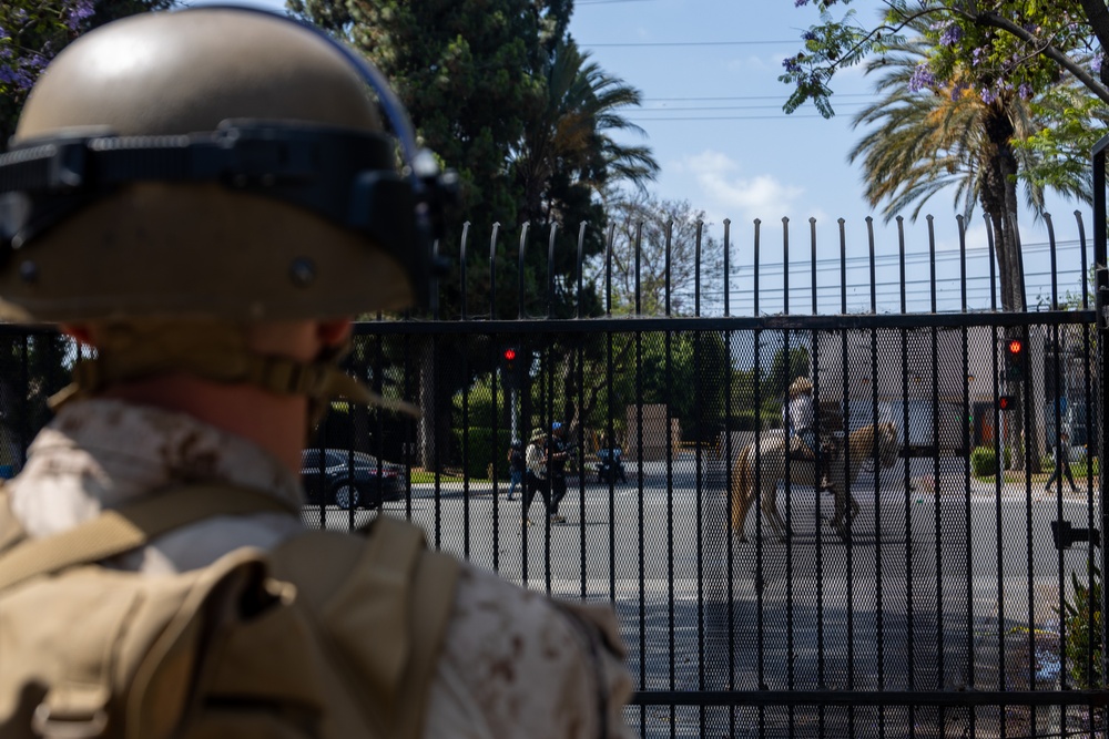 U.S. Marines guard federal building