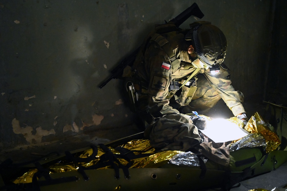 Illinois Army National Guard trains with Polish Territorial Defence Force
