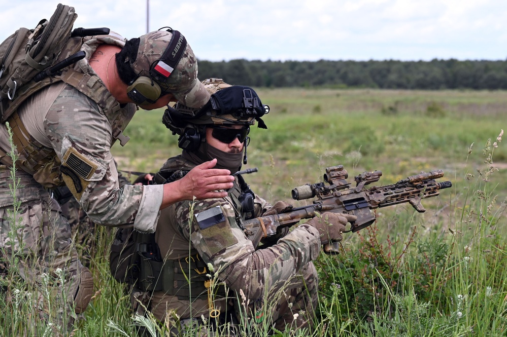 Illinois Army National Guard trains with Polish Territorial Defence Force
