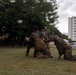 U.S. Marines With CLR-37 Complete MCMAP Course Culminating Event