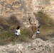 Vector Collection in the Hashemite Kingdom of Jordan