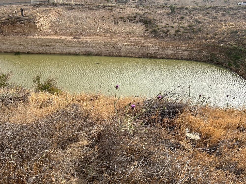 Vector Collection in the Hashemite Kingdom of Jordan