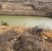 Vector Collection in the Hashemite Kingdom of Jordan