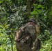 Salaknib 25 : Jungle School