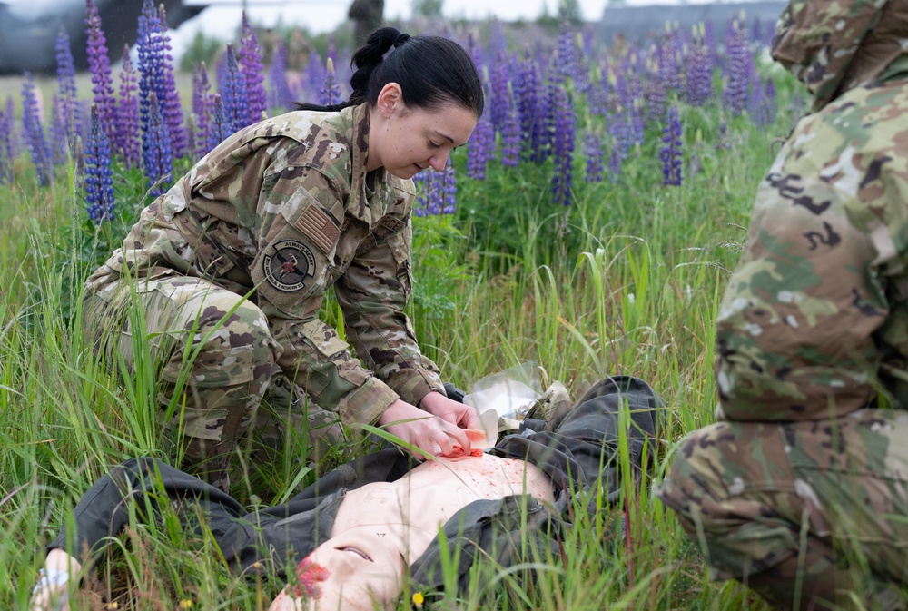 Chaos with a cause: Allied mass casualty response exercise