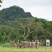 U.S. Marines train with Panamanian Security Forces