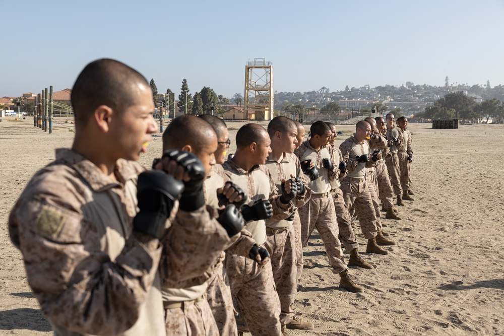 Delta Company Pugil Sticks