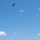 The B-2 Spirit supports Operation MIDNIGHT HAMMER The B-2 Spirit supports Operation MIDNIGHT HAMMER