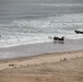 U.S. Marines, Indonesian Korps Marinir perform amphibious landing