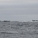 NSW Conducts Joint Training
