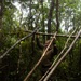 Jungle Leaders Course 25.2 | Survival Week