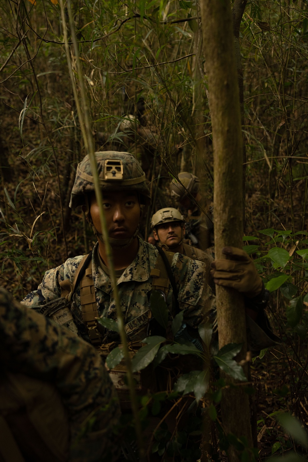 Jungle Leaders Course 25.2 | Survival Week