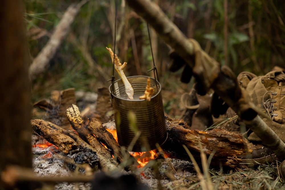 Jungle Leaders Course 25.2 | Survival Week