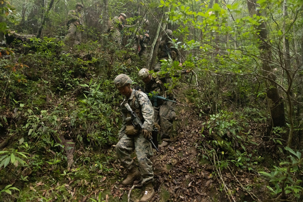 Jungle Leaders Course 25.2 | Survival Week