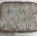 From Construction to Conservation: One Family’s Legacy of Service at Libby Dam