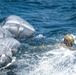 NSW Conducts Joint Training