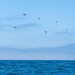 NSW Conducts Joint Training