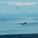 Alaska Air National Guard, Total Force Partners train together and deliver for the Army