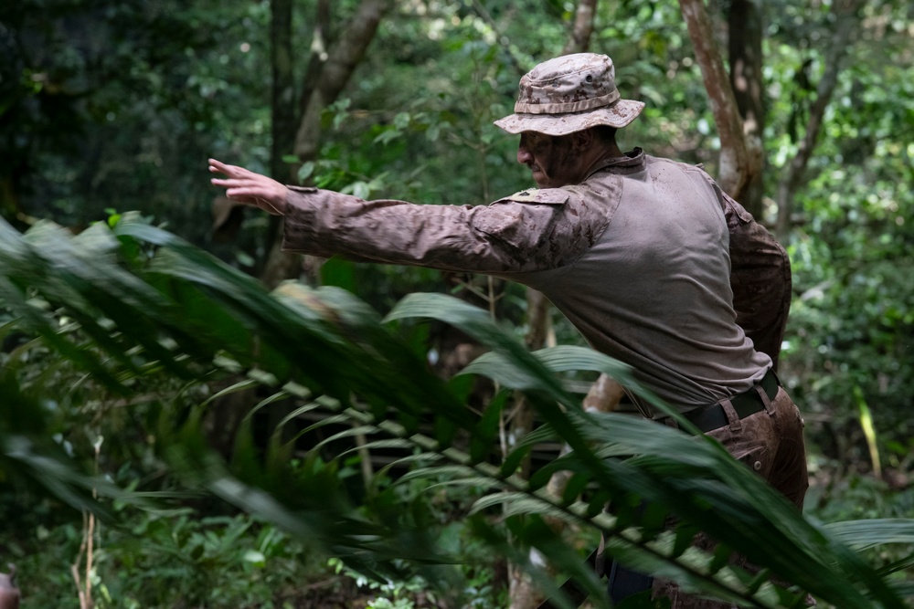 2d Marine Regiment Marines conduct jungle environment training alongside SENAN