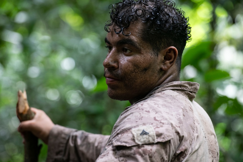 2d Marine Regiment Marines conduct jungle environment training alongside SENAN