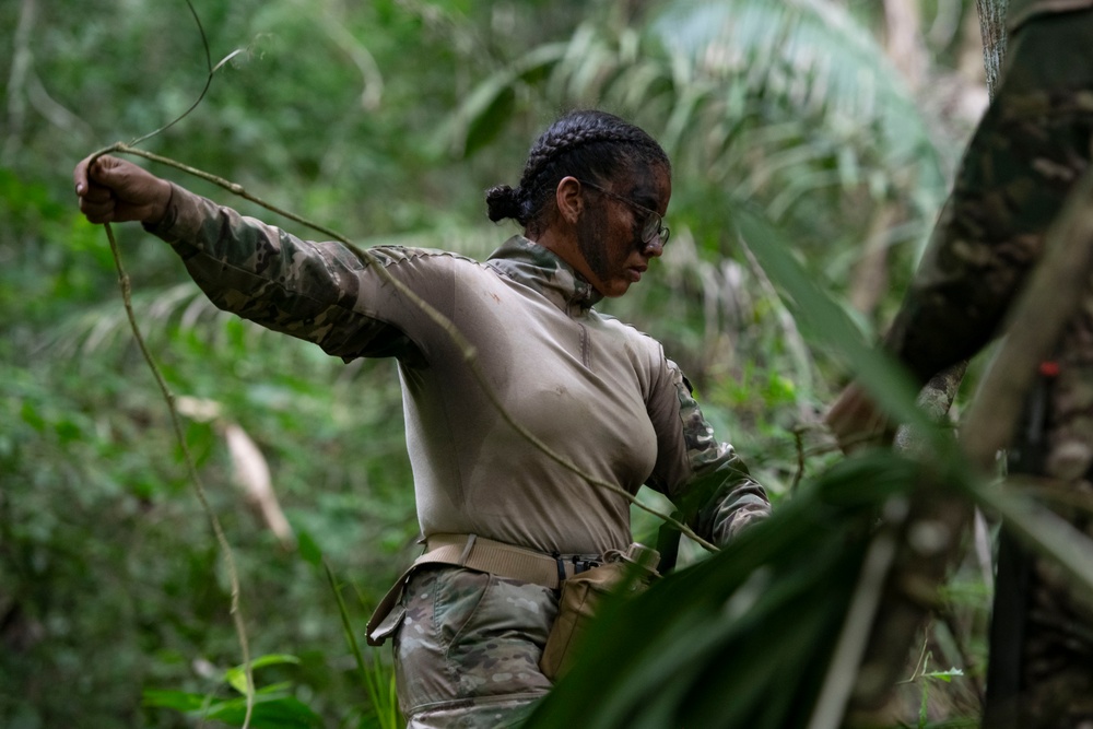 2d Marine Regiment Marines conduct jungle environment training alongside SENAN
