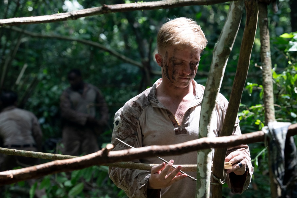 2d Marine Regiment Marines conduct jungle environment training alongside SENAN