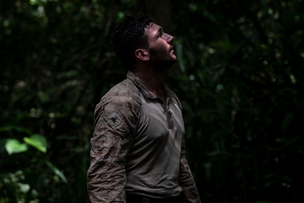 2d Marine Regiment Marines conduct jungle environment training alongside SENAN