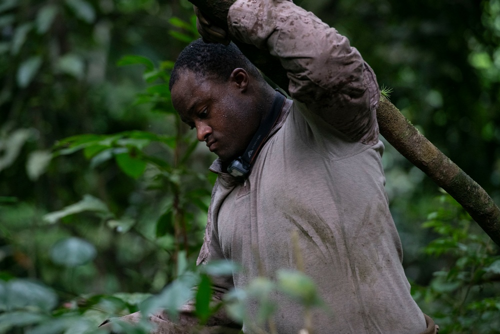 2d Marine Regiment Marines conduct jungle environment training alongside SENAN