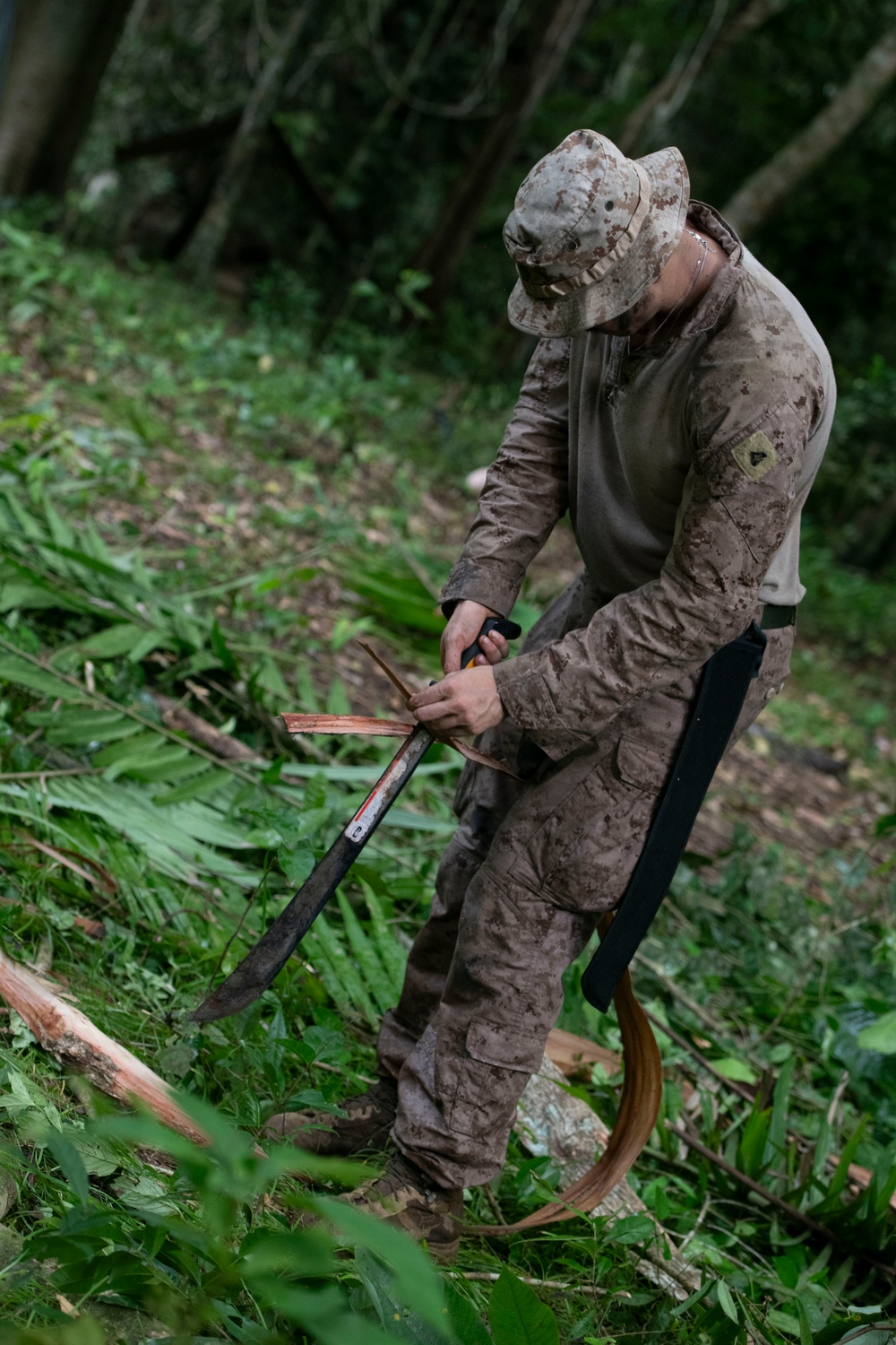 2d Marine Regiment Marines conduct jungle environment training alongside SENAN