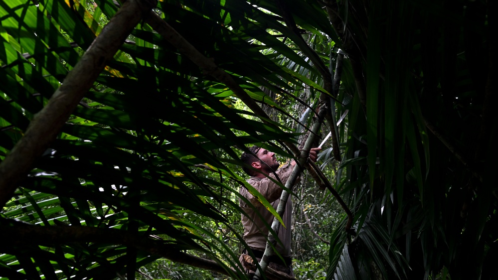 2d Marine Regiment Marines conduct jungle environment training alongside SENAN