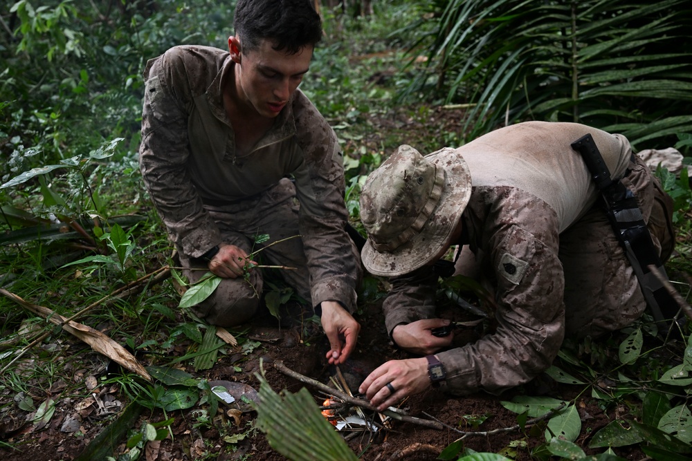 2d Marine Regiment Marines conduct jungle environment training alongside SENAN