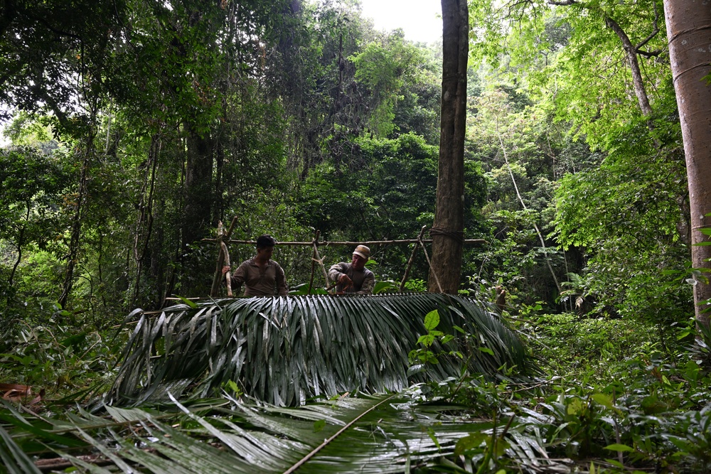 2d Marine Regiment Marines conduct jungle environment training alongside SENAN