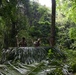 2d Marine Regiment Marines conduct jungle environment training alongside SENAN