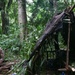 U.S. Marines and SENAN learn jungle survival from Panamanian Commandos