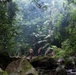 U.S. Marines and SENAN learn jungle survival from Panamanian Commandos