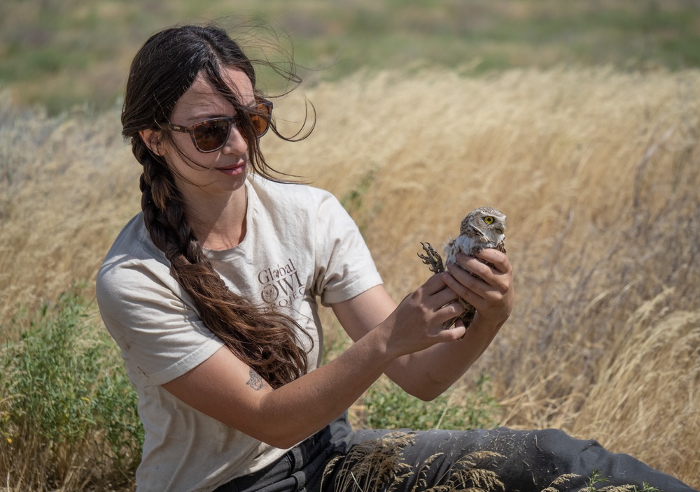 Oregon National Guard's Rees Training Center Hosts Nation's Most Successful Burrowing Owl Colony