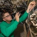 Daily Operations Aboard USS George H.W. Bush (CVN 77)