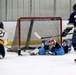 USU Fighting Docs Win Hockey Championship