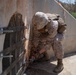 U.S. Marines emplace new obstacle along southern border