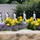 Military Funeral Honors are Conducted for U.S. Navy Signalman 3rd Class Carl Felton