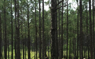 1st Sgt. Funk Deployment Readiness Exercise