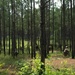 1st Sgt. Funk Deployment Readiness Exercise