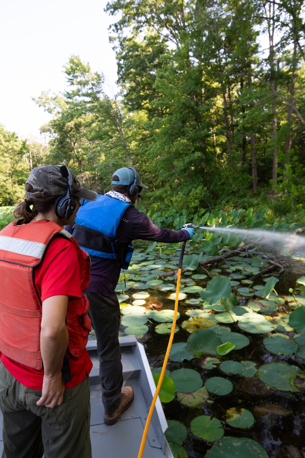 USACE Partners with Local Contractor to Target Invasive Water Chestnut at Lake Brittle in Virginia
