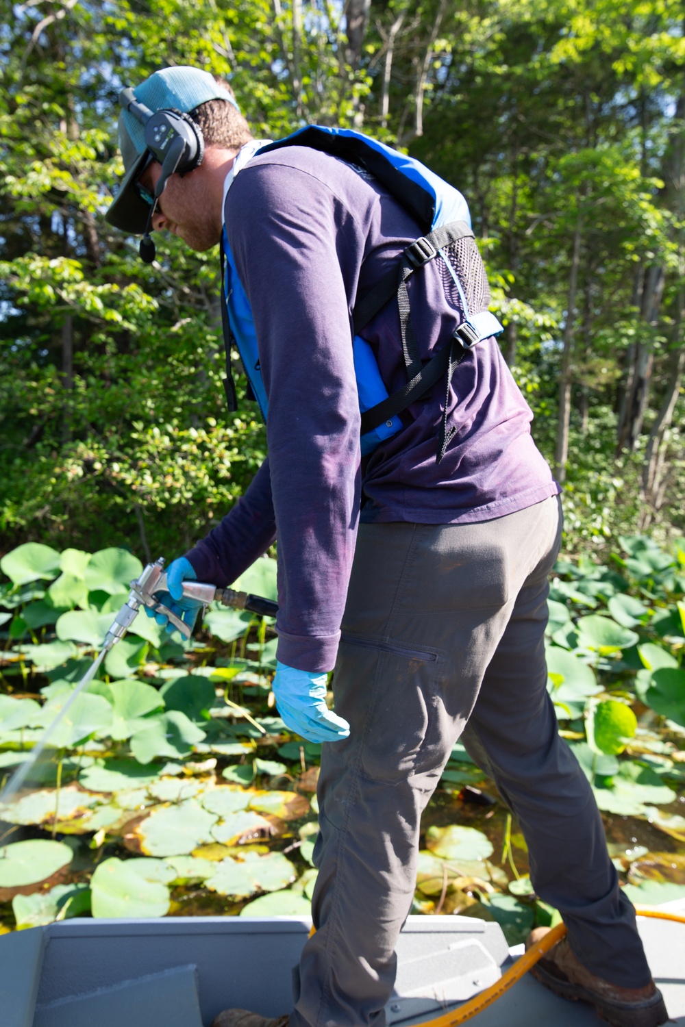 USACE Partners with Local Contractor to Target Invasive Water Chestnut at Lake Brittle in Virginia