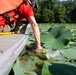 USACE Partners with Local Contractor to Target Invasive Water Chestnut at Lake Brittle in Virginia