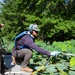 USACE Partners with Local Contractor to Target Invasive Water Chestnut at Lake Brittle in Virginia