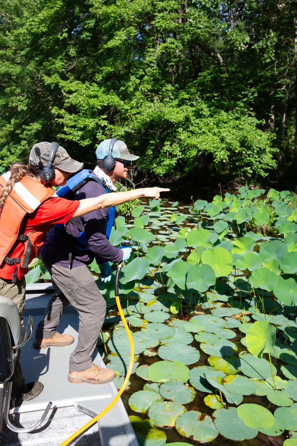 USACE Partners with Local Contractor to Target Invasive Water Chestnut at Lake Brittle in Virginia
