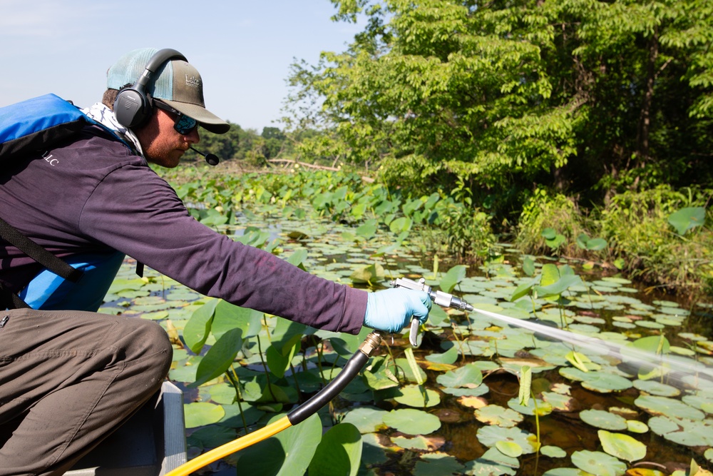 USACE Partners with Local Contractor to Target Invasive Water Chestnut at Lake Brittle in Virginia