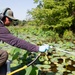 USACE Partners with Local Contractor to Target Invasive Water Chestnut at Lake Brittle in Virginia