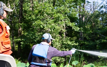 USACE Partners with Local Contractor to Target Invasive Water Chestnut at Lake Brittle in Virginia
